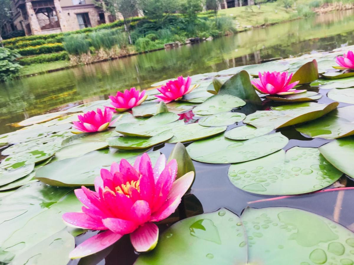 Jz Hotel Emei Emeishan Εξωτερικό φωτογραφία